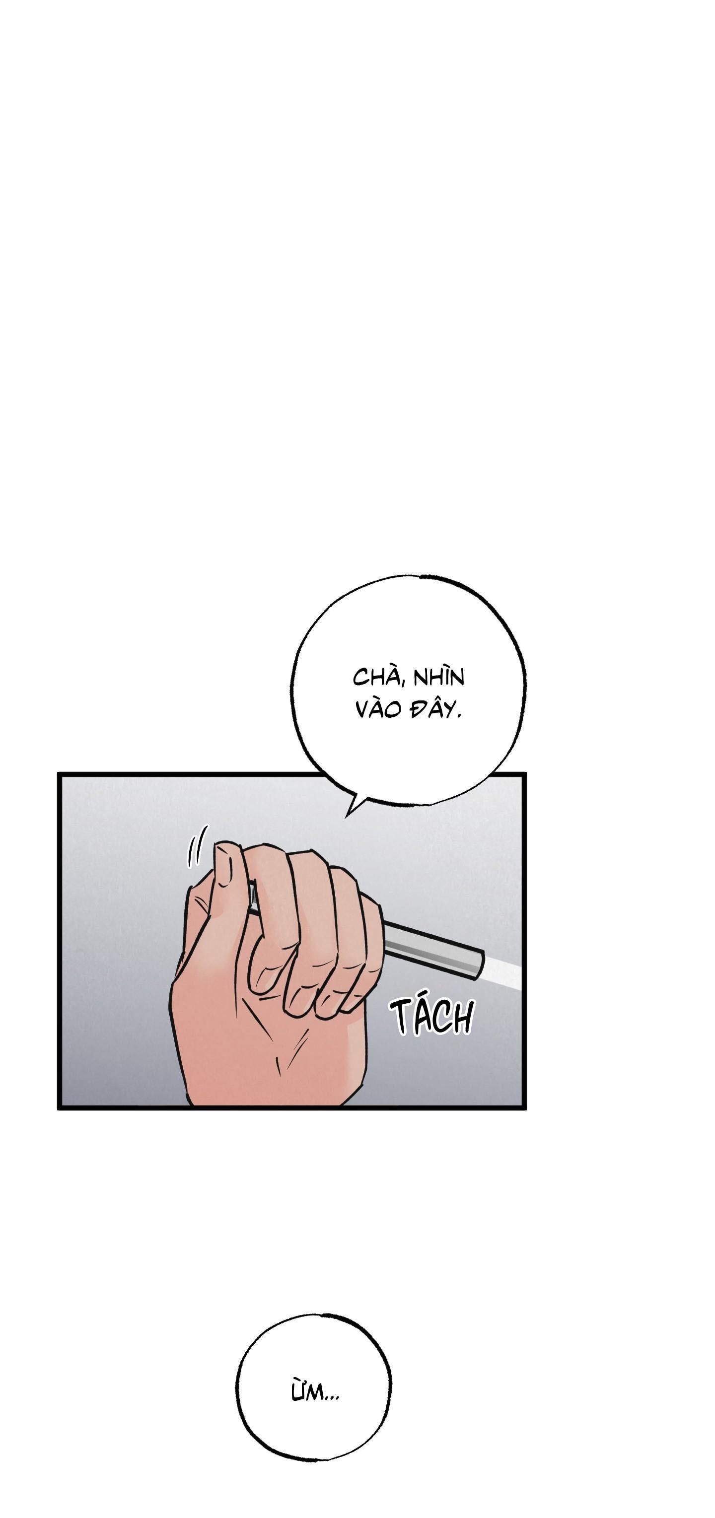 Đọc truyện CẶP ĐÔI HOÀN HẢO - Chapter 31