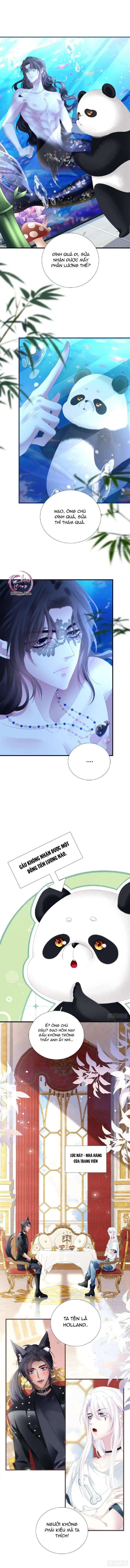 Đọc truyện Thánh Tâm không dễ chọc - Chapter 51