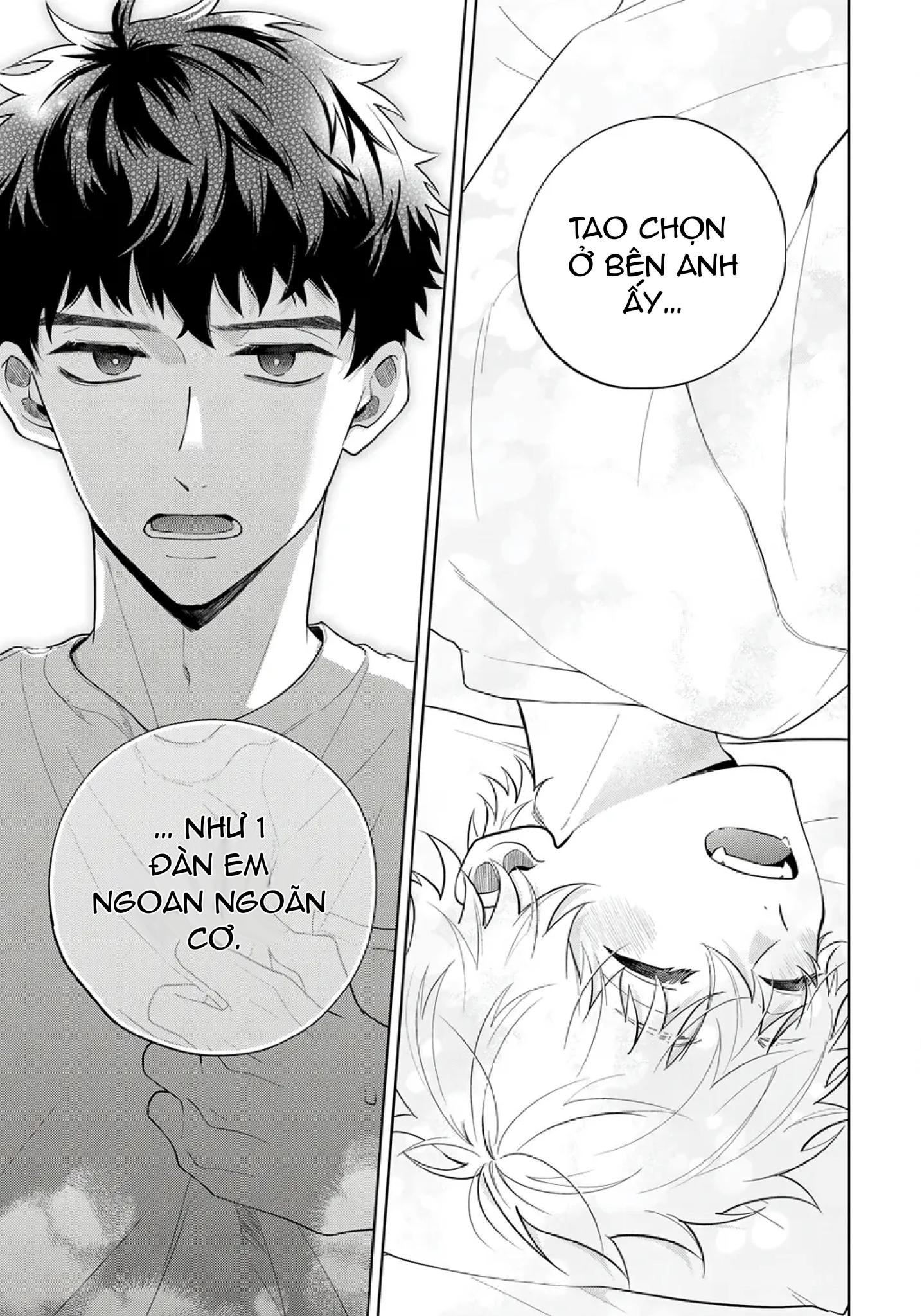Đọc truyện Kết Thúc Có Hậu Của Vị Cứu Tinh - Chapter 5