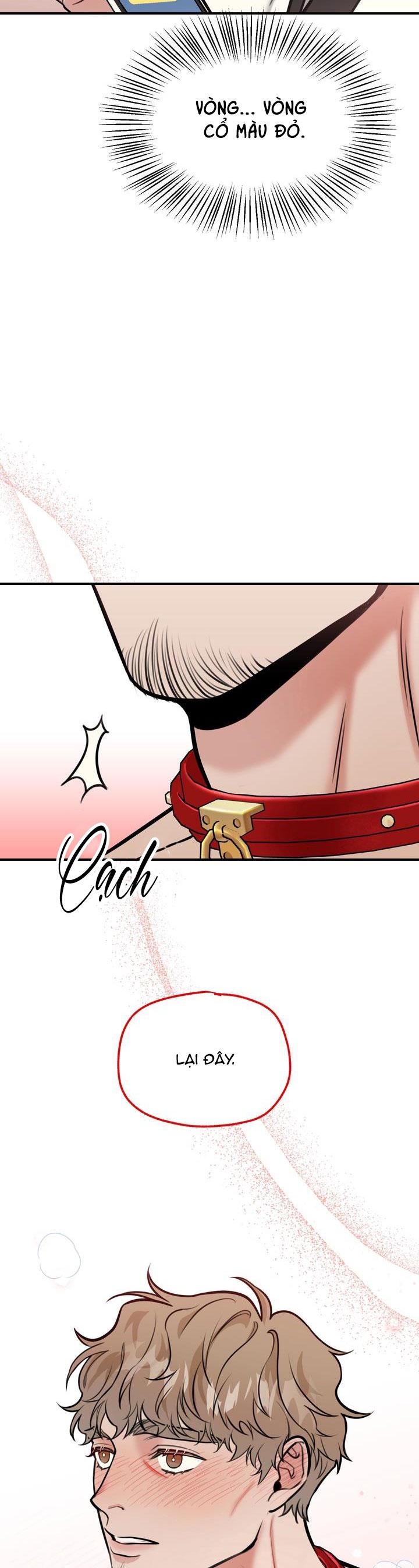 Đọc truyện HƯỚNG DẪN BDSM CƠ BẢN - Chapter 4