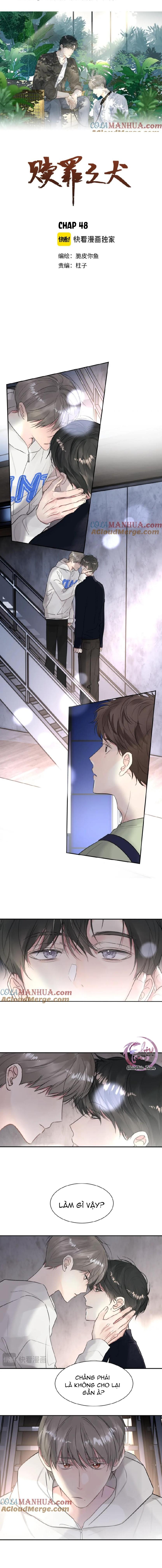 Đọc truyện Chó Chuộc Tội - Chapter 48