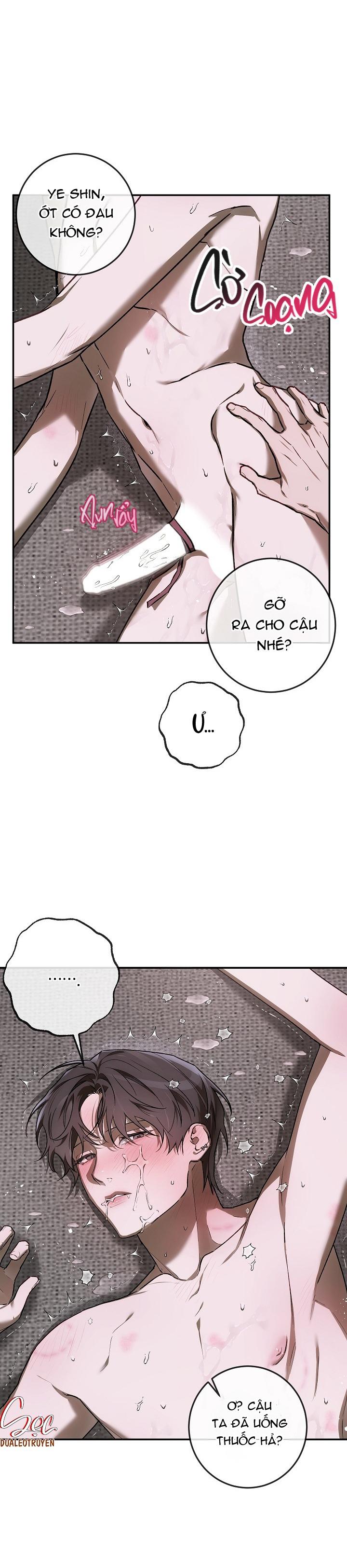 Đọc truyện BẢO VẬT - Chapter 23