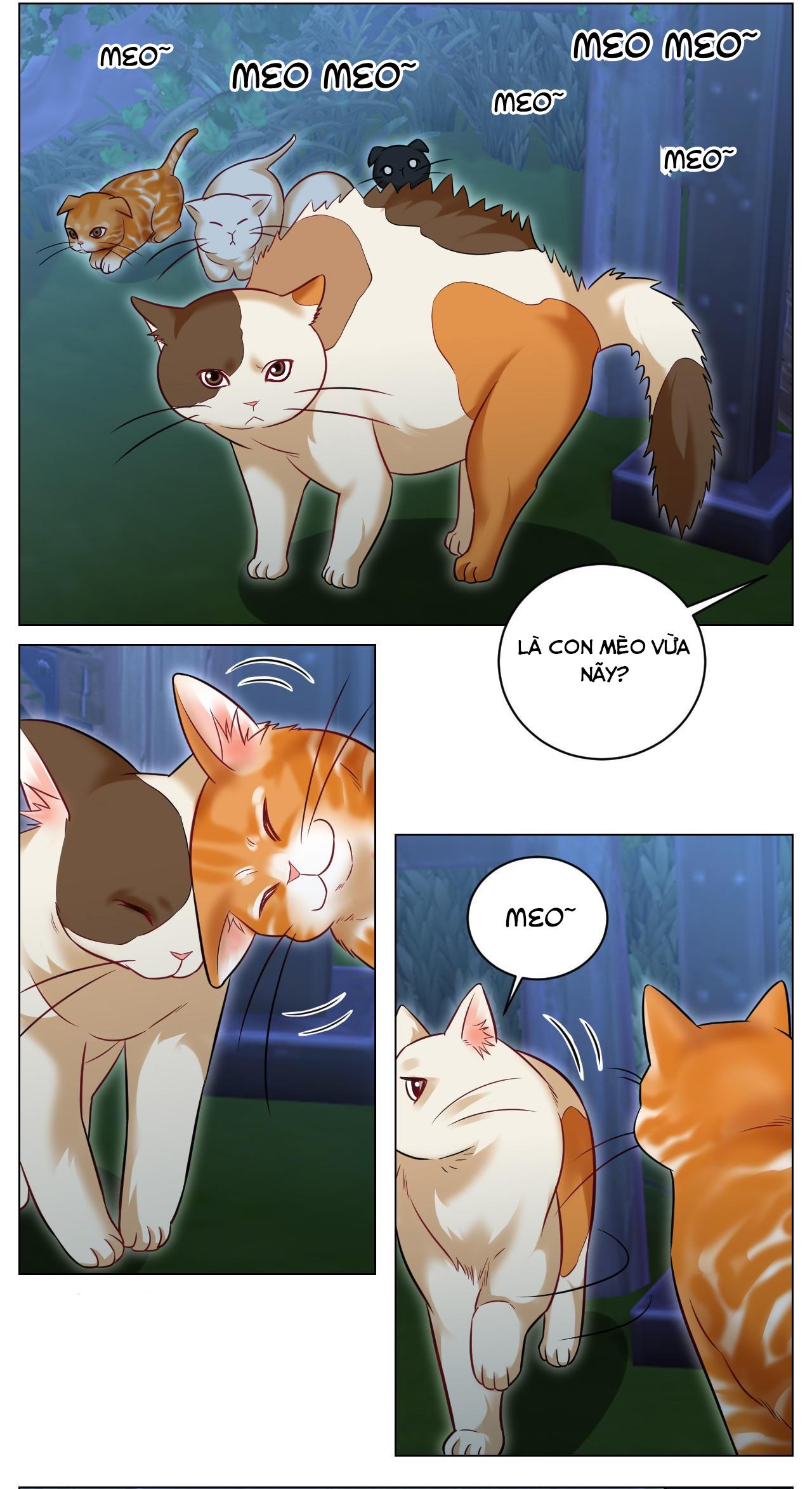 Đọc truyện Ký túc xá nam phòng 303 - Chapter 238