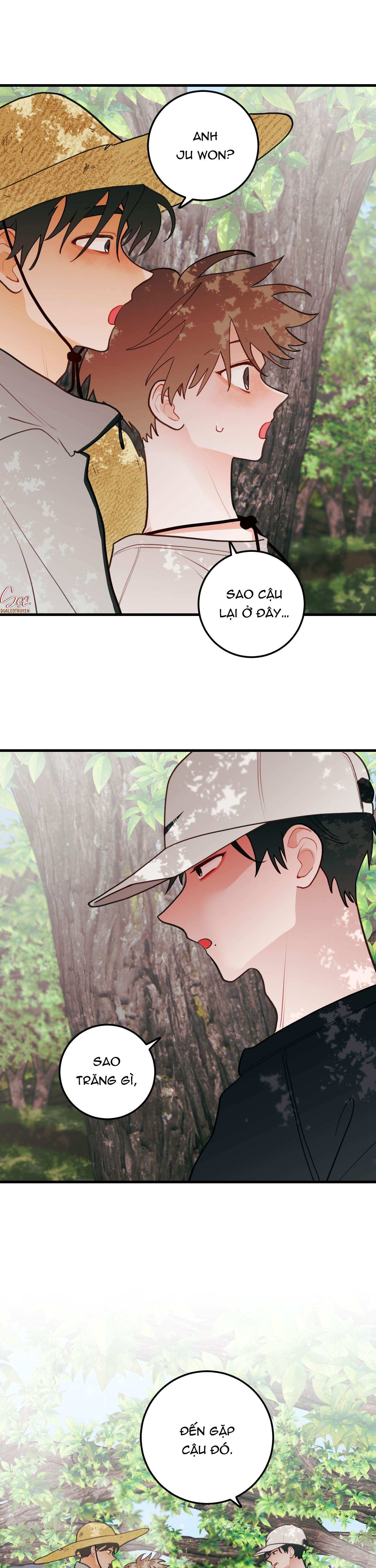 Đọc truyện CHUYỆN TÌNH HOA LÊ NỞ - Chapter 46