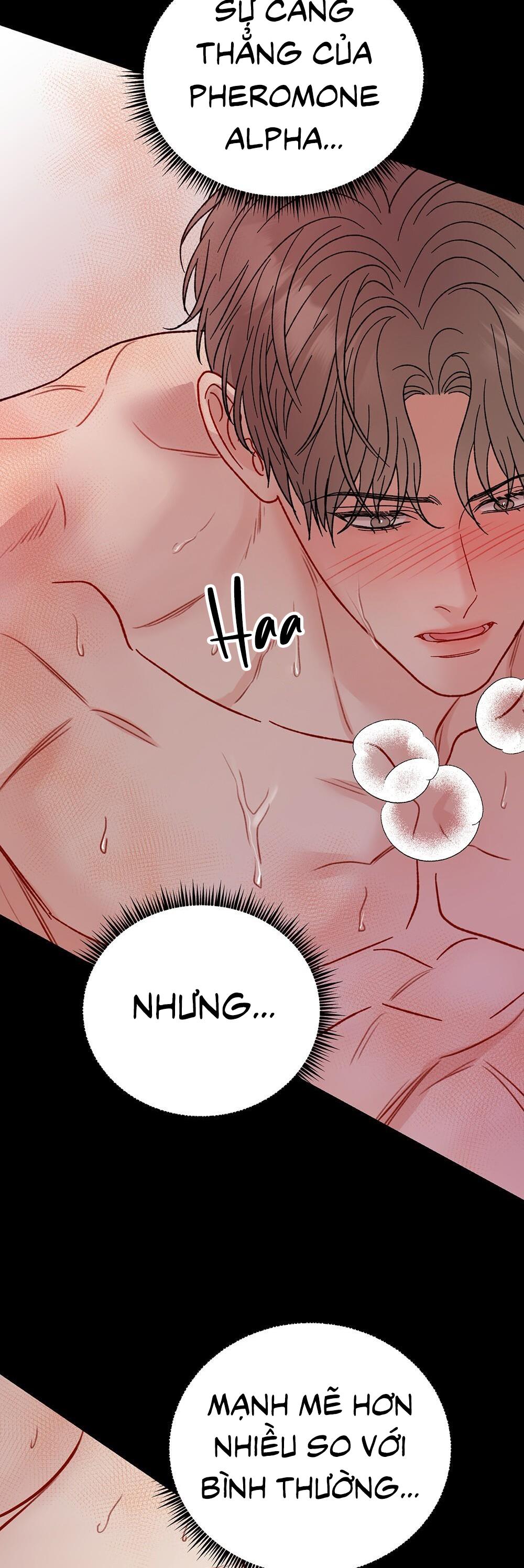 Đọc truyện CẬU KHÔNG PHẢI LÀ GU CỦA TÔI - Chapter 40