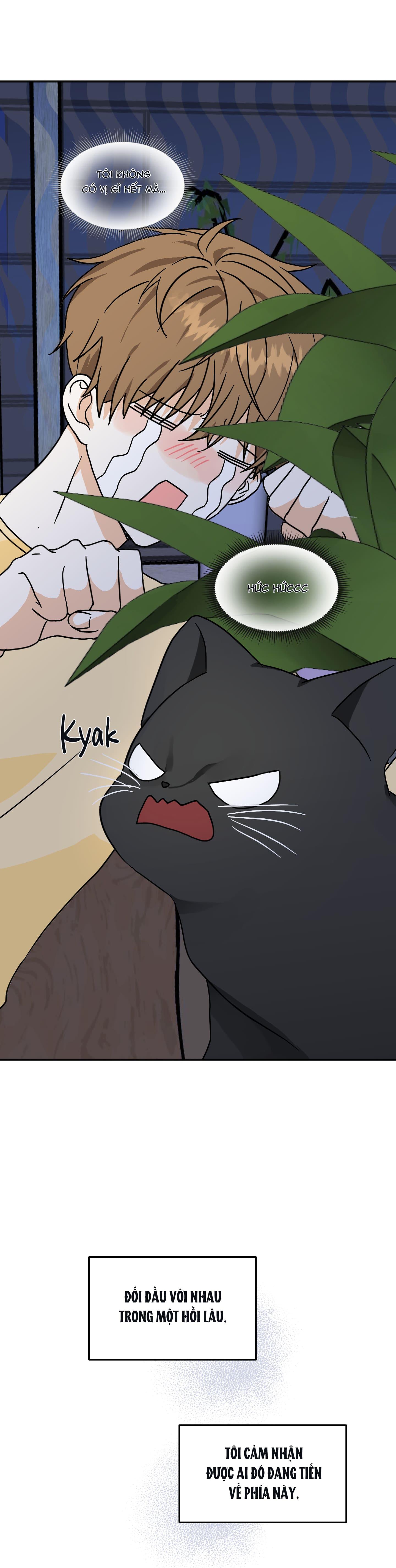 Đọc truyện Câu chuyện của hai bạn trẻ - Chapter 2