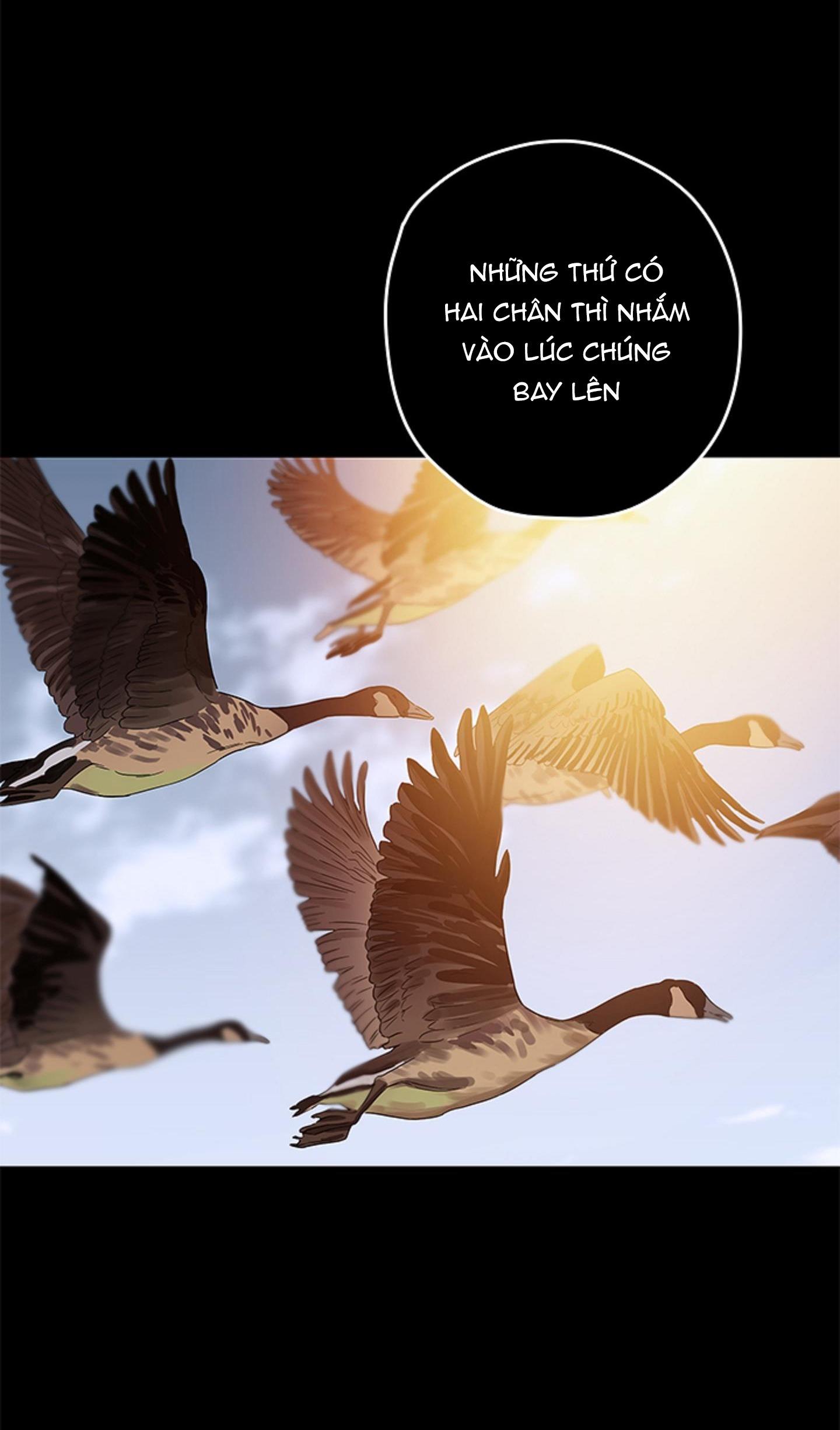 Đọc truyện (AxA) MỊ HOẶC KHÓ CƯỠNG - Chapter 26