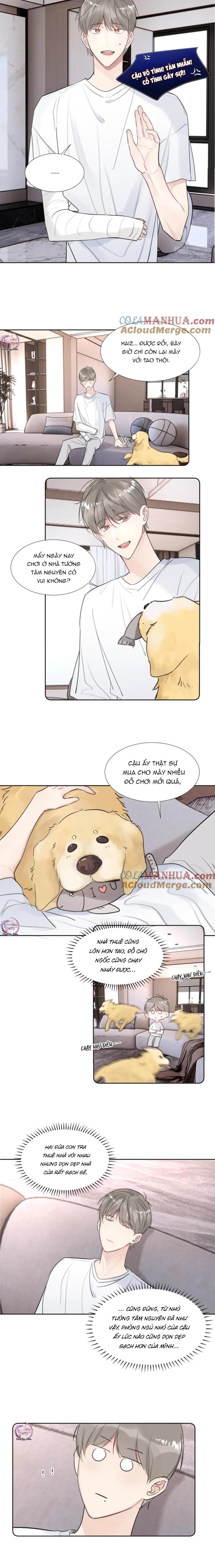 Đọc truyện Chó Chuộc Tội - Chapter 35