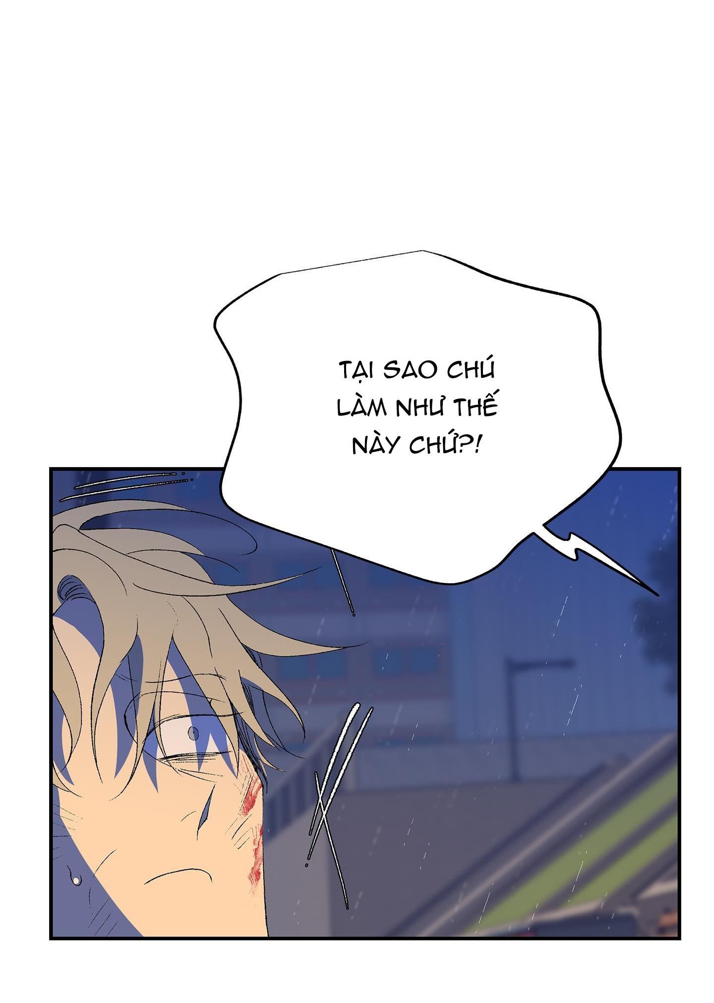 Đọc truyện ÔNG CHÚ BÊN CỬA SỔ - Chapter 41
