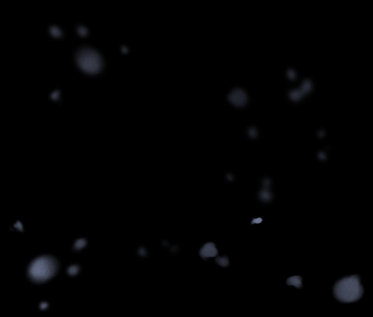 Đọc truyện ÂN HUỆ - Chapter 15