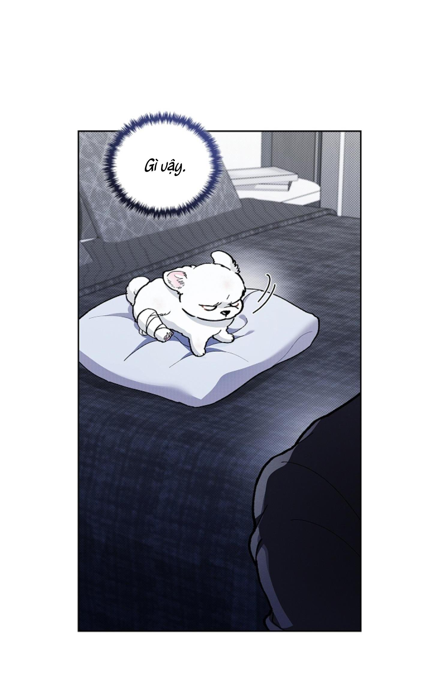 Đọc truyện ĐỪNG ĐỤNG VÀO BÉ CÚN - Chapter 3