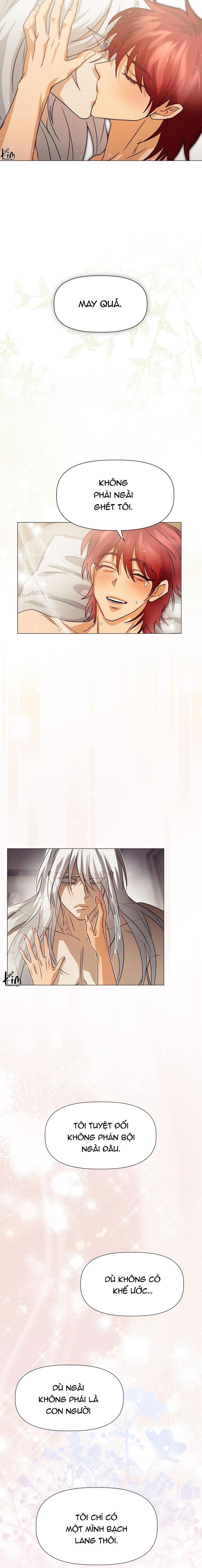 Đọc truyện TẾ PHẨM THẦN NÚI - Chapter 19