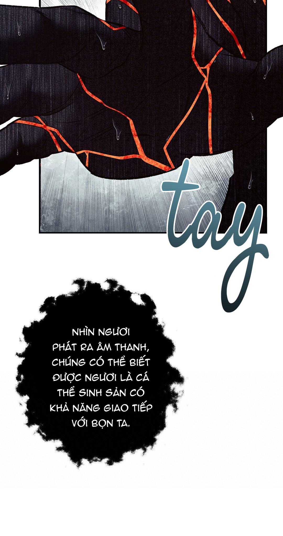 Đọc truyện BIỂN ĐỎ - Chapter 10