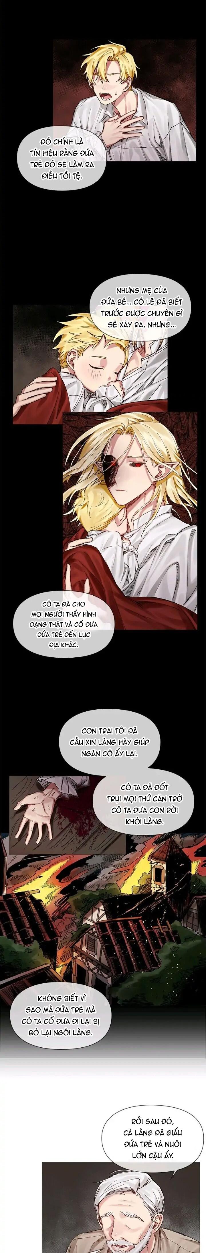 Đọc truyện [Hoàn] Chàng Hiệp Sĩ Và Rồng Vàng - Chapter 5