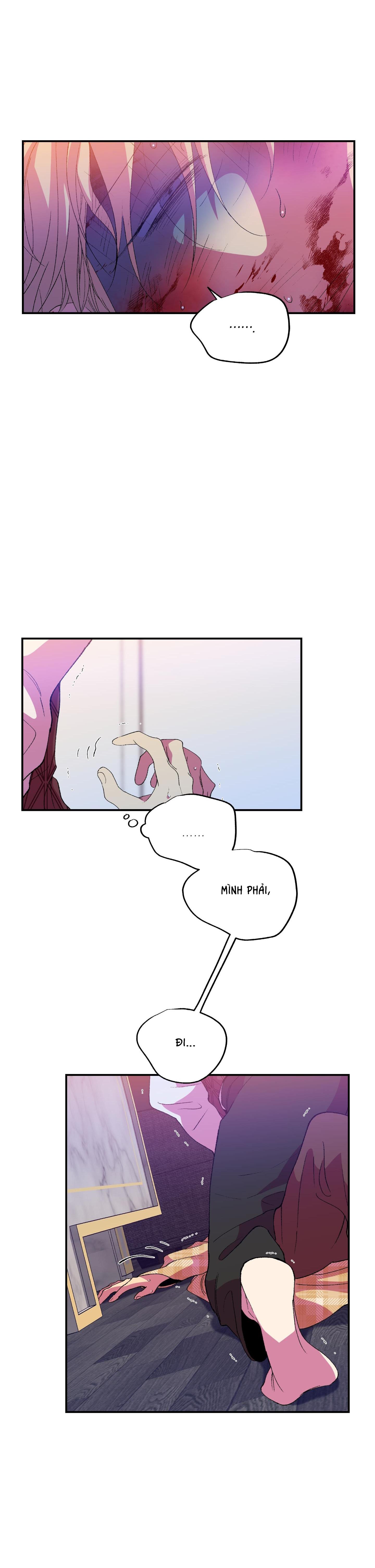 Đọc truyện ÔNG CHÚ BÊN CỬA SỔ - Chapter 52