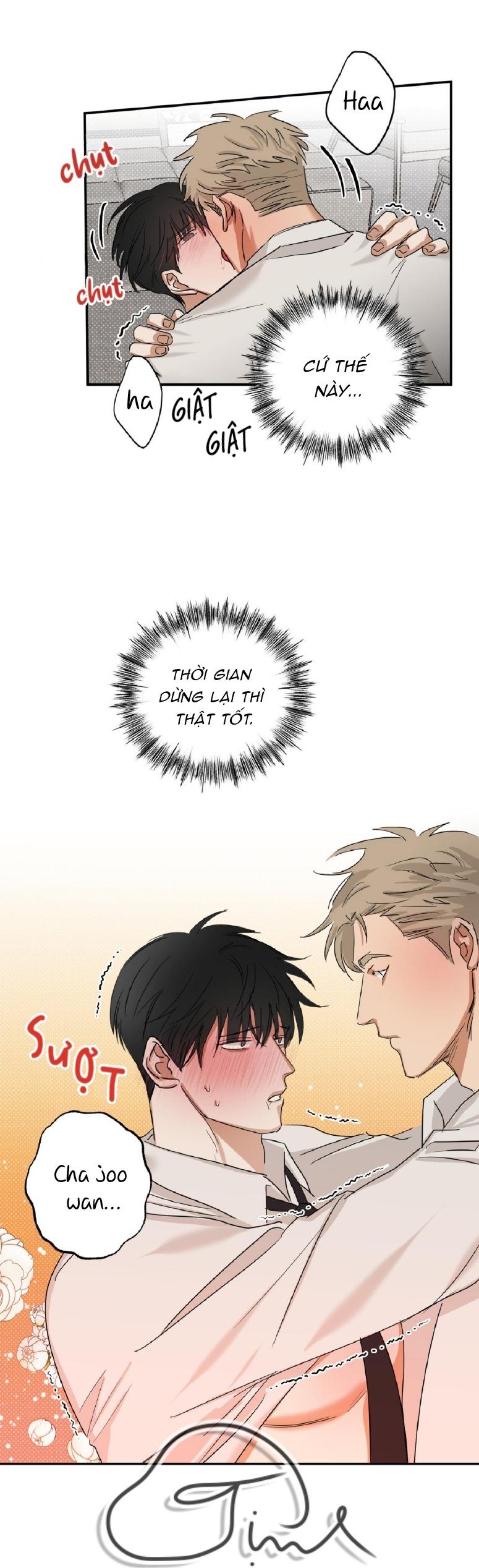 Đọc truyện Tuyển Tập Manhwa Dằm Khăm - Chapter 69