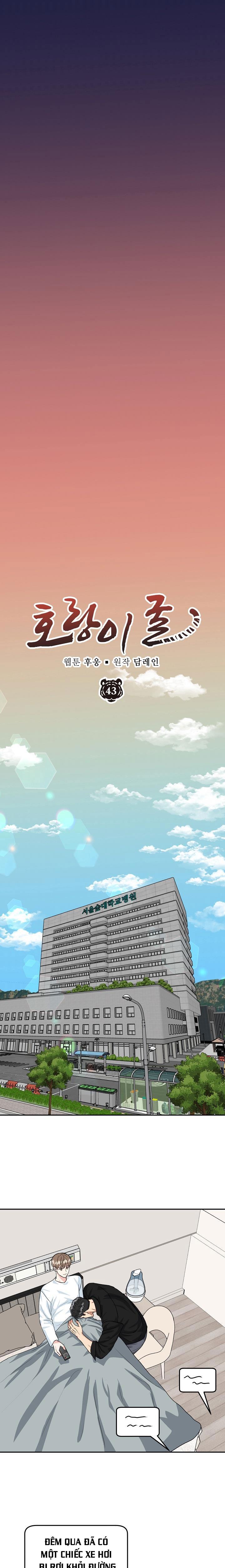 Đọc truyện (ABO) HANG HỔ - Chapter 43