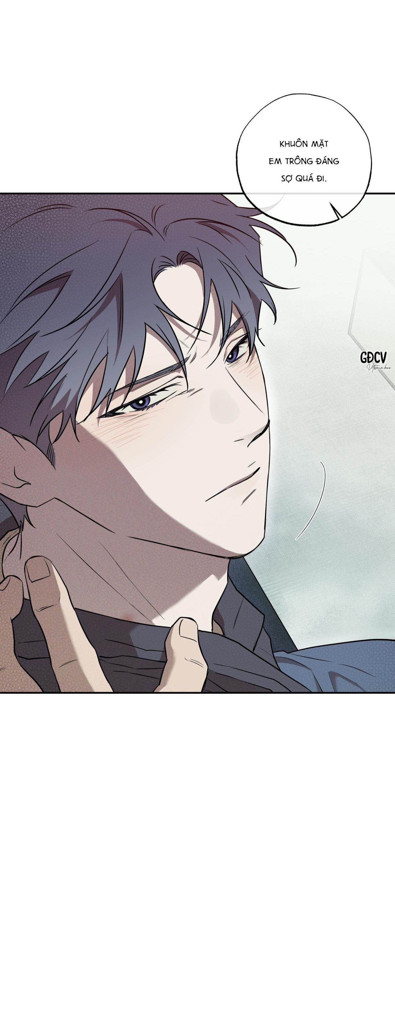 Đọc truyện ANH RỂ - Chapter 5