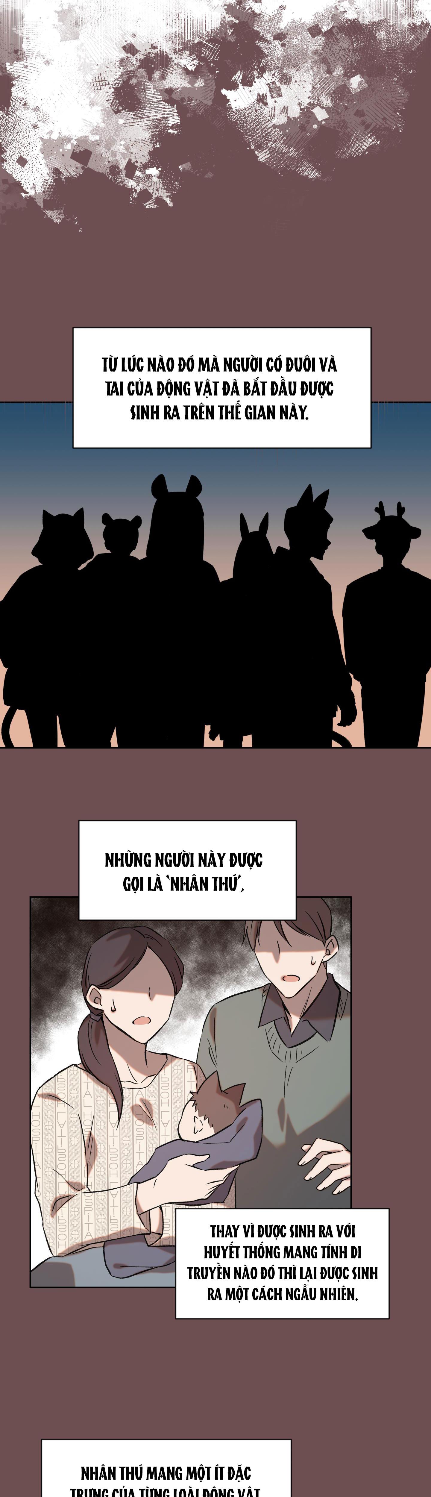 Đọc truyện TUYỂN TẬP BL THÚ NHÂN VÀ XÚC TU - Chapter 8.1