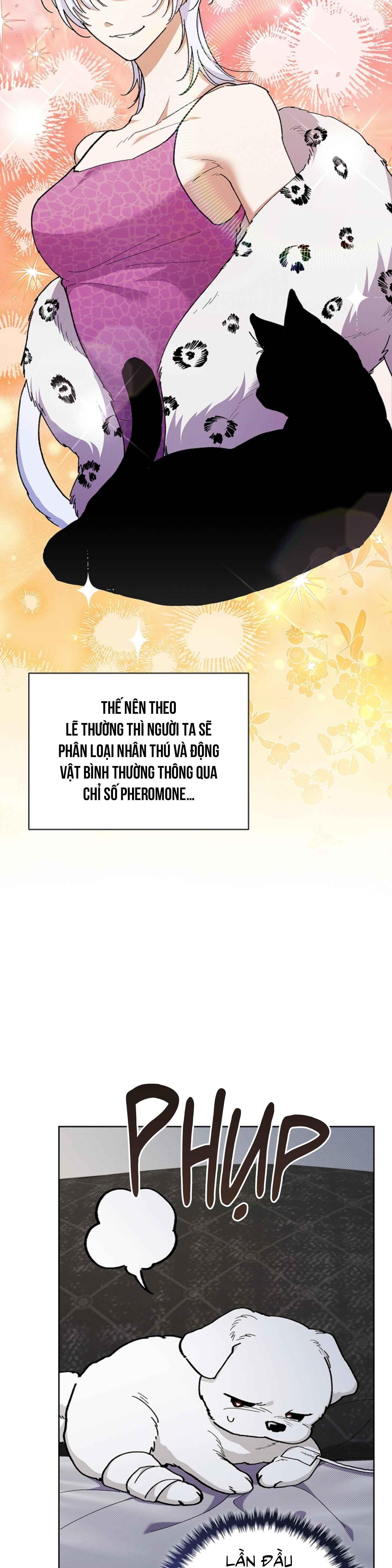 Đọc truyện ĐỪNG ĐỘNG VÀO CÚN CON! - Chapter 4