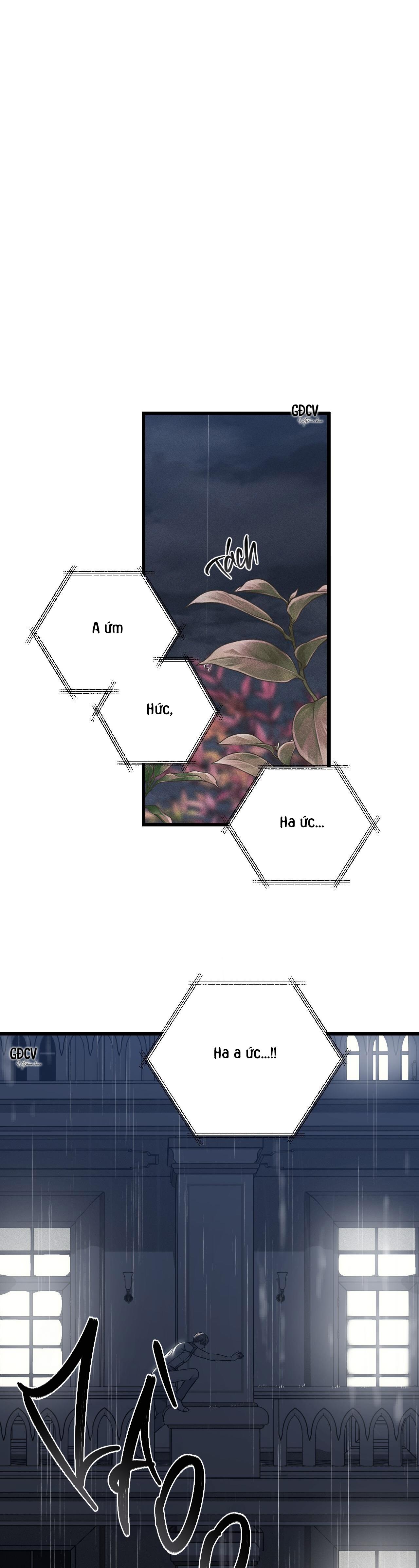 Đọc truyện PHI VỤ BẨN THỈU - Chapter 39