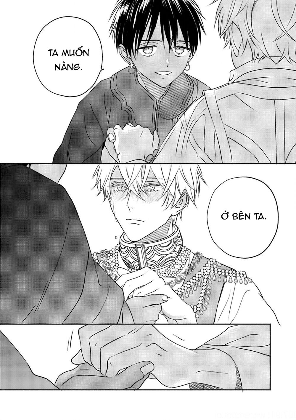 Đọc truyện Omega Của Hoàng Cung - Chapter 5