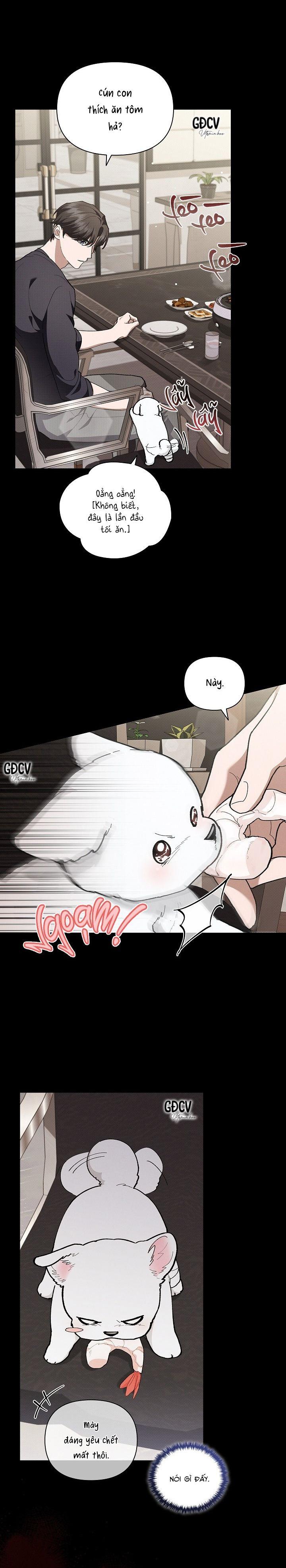 Đọc truyện ĐỪNG CHẠM VÀO CÚN CON CỦA TÔI - Chapter 7