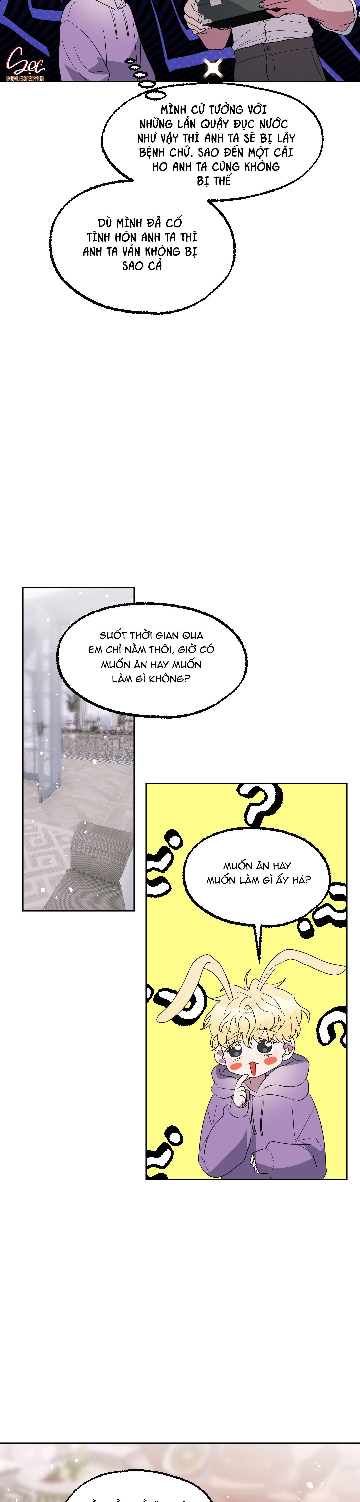 Đọc truyện CÁ MẬP VÀ CÔ DÂU THỎ - Chapter 19