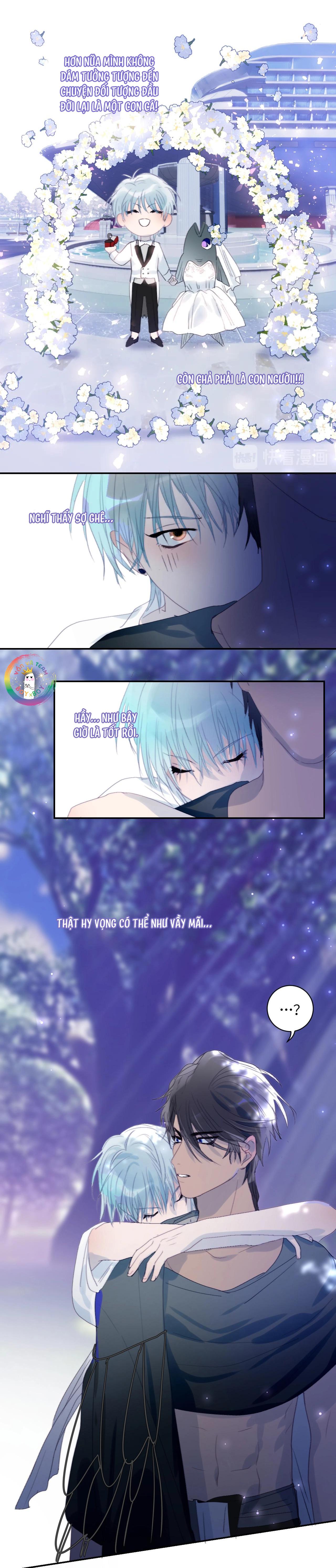 Đọc truyện Quanh Năm Có Cá - Chapter 24