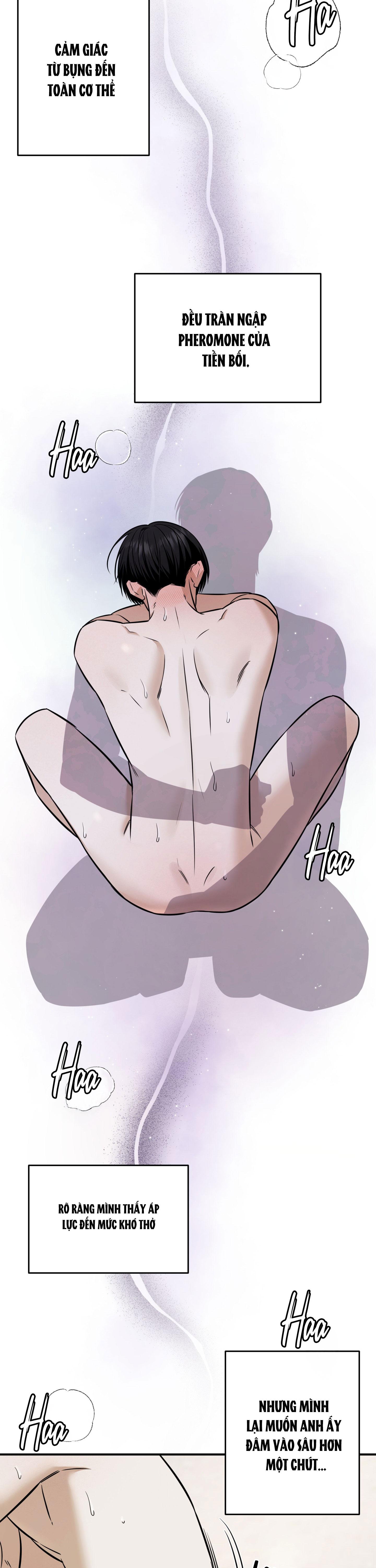 Đọc truyện (ABO) FEEL MY BENEFIT - Chapter 40