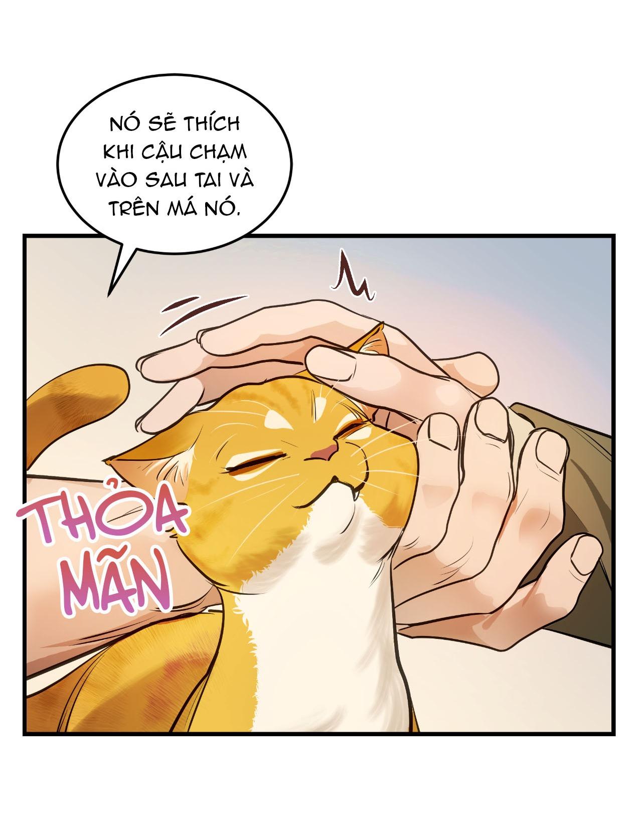Đọc truyện Người Trong Gương (Drop) - Chapter 13