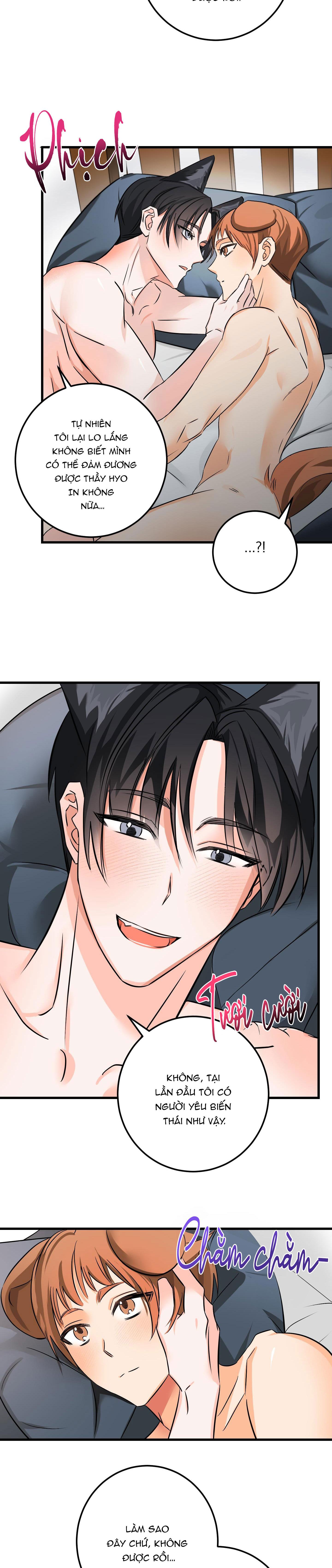 Đọc truyện TUYỂN TẬP BL THÚ NHÂN VÀ XÚC TU - Chapter 10.8