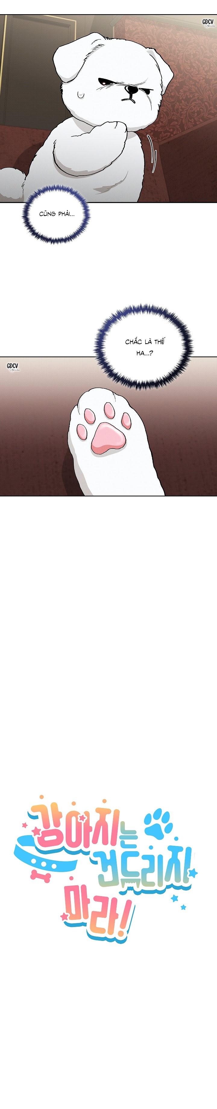 Đọc truyện ĐỪNG CHẠM VÀO CÚN CON CỦA TÔI - Chapter 2