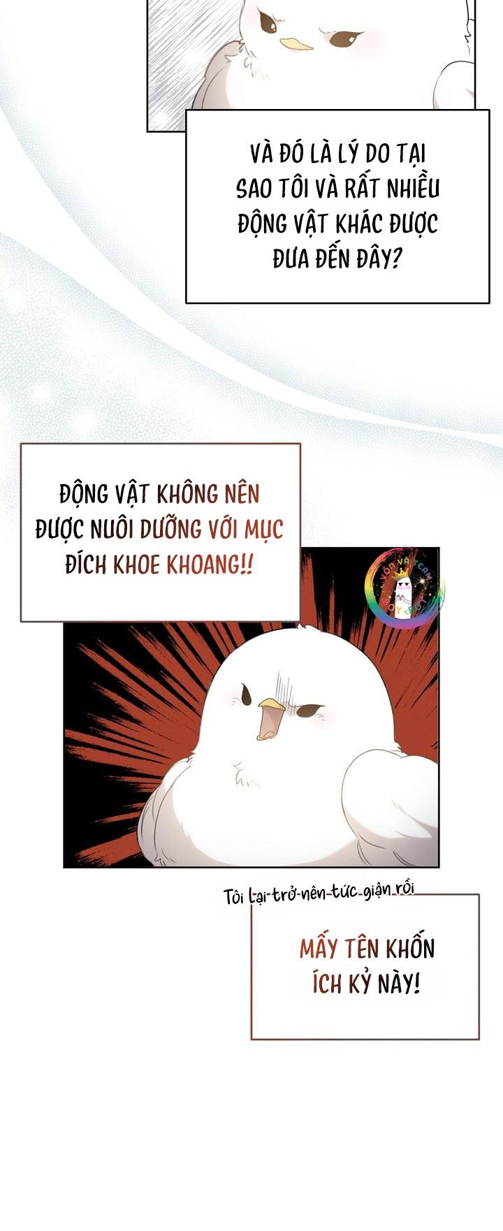 Đọc truyện (END) Này, Đừng Có Nhấn Cái Nút Đó! - Chapter 2