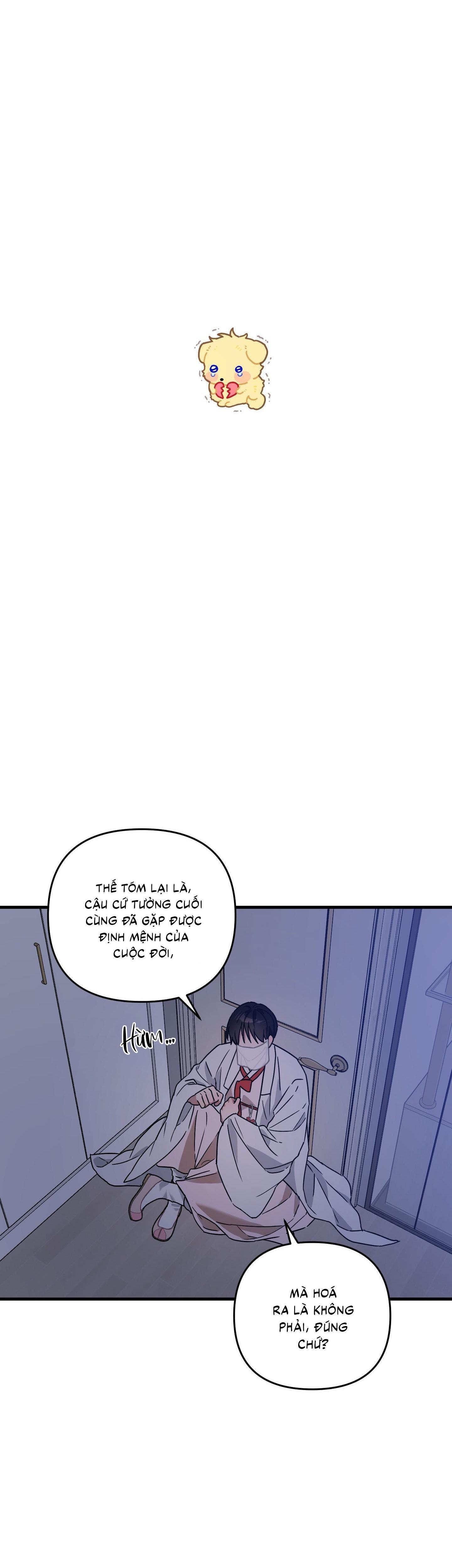 Đọc truyện  Yêu Phải Lừa Đảo - Chapter 10