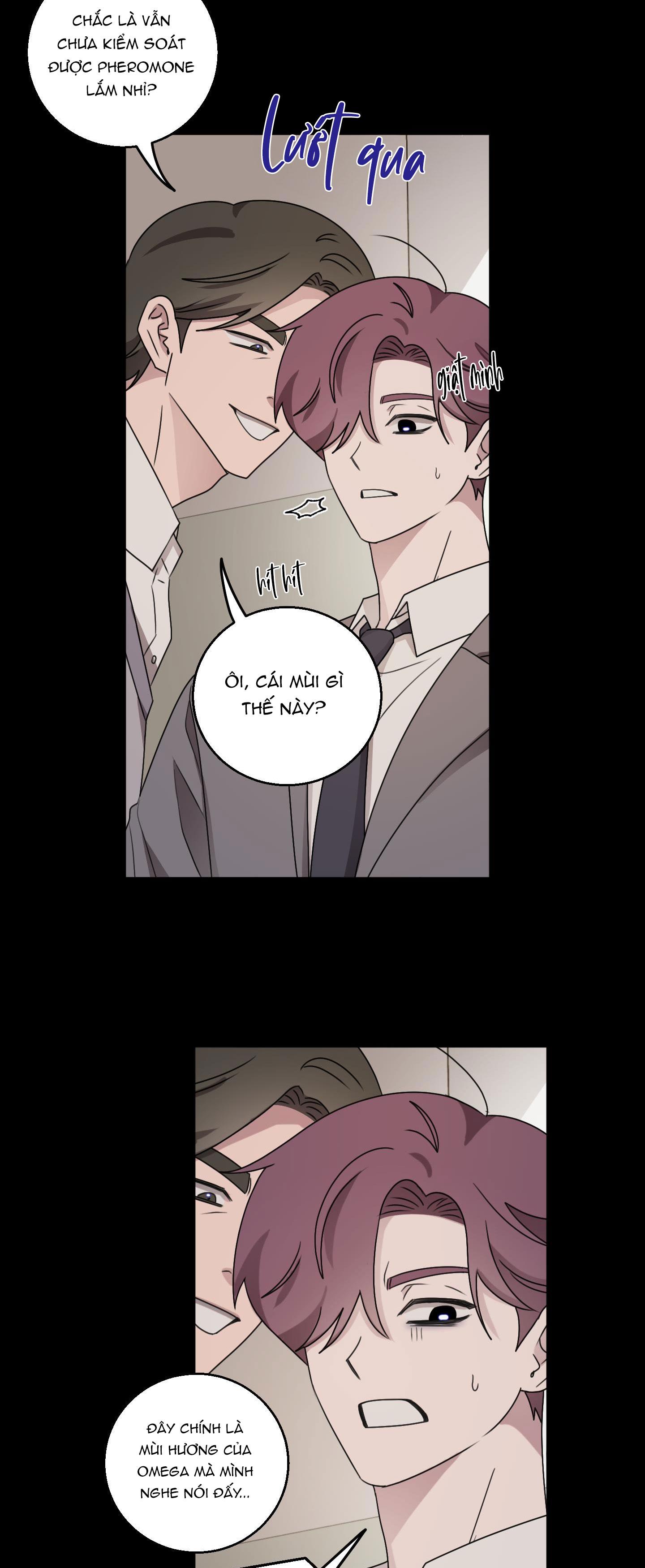 Đọc truyện CHUYỆN TÌNH ALPHA - Chapter 21