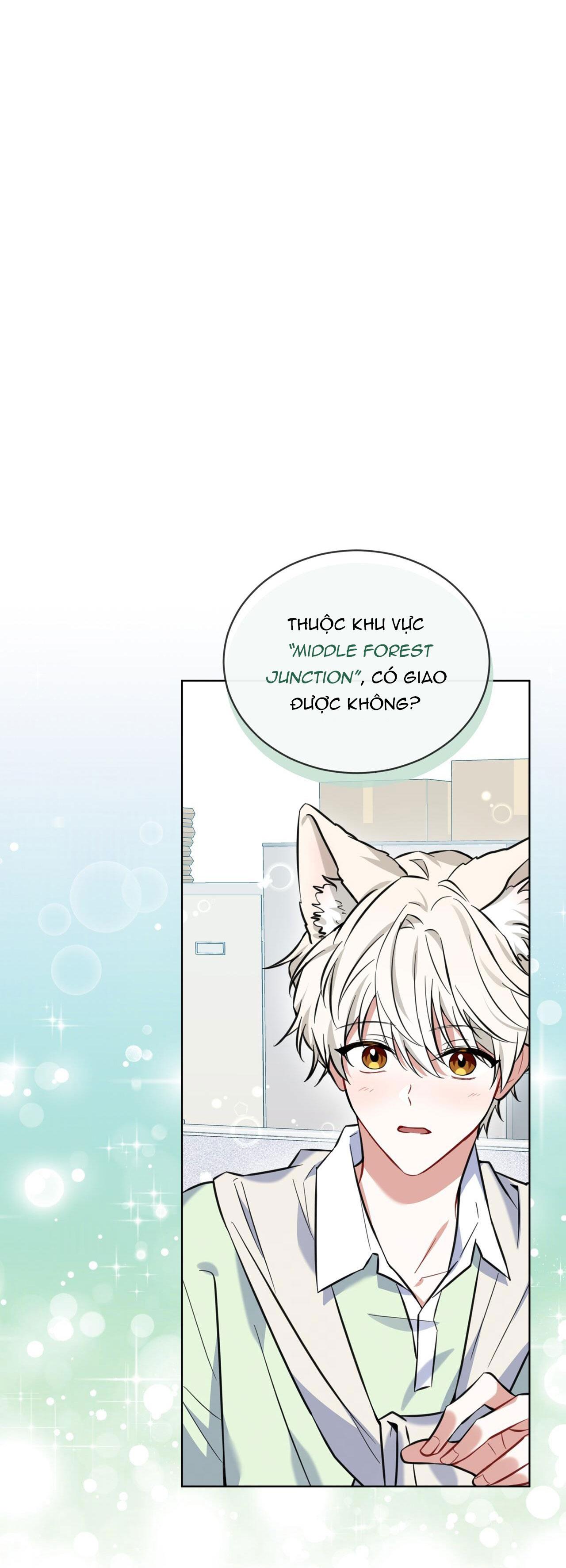 Đọc truyện NƯỚC UỐNG TÌNH YÊU CỦA CÁO PLIN - Chapter 1