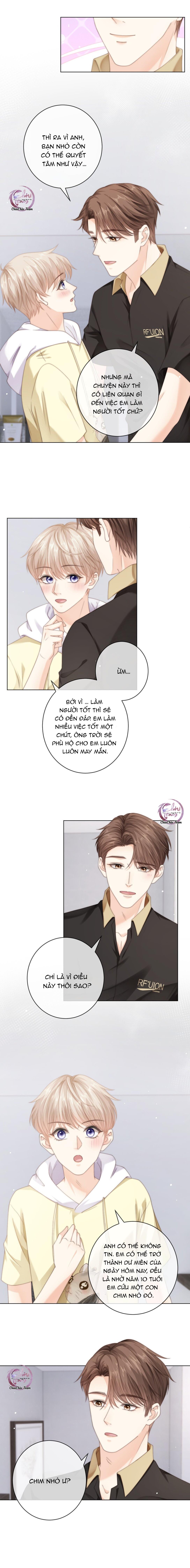 Đọc truyện Đảo Thanh Mai - Chapter 100