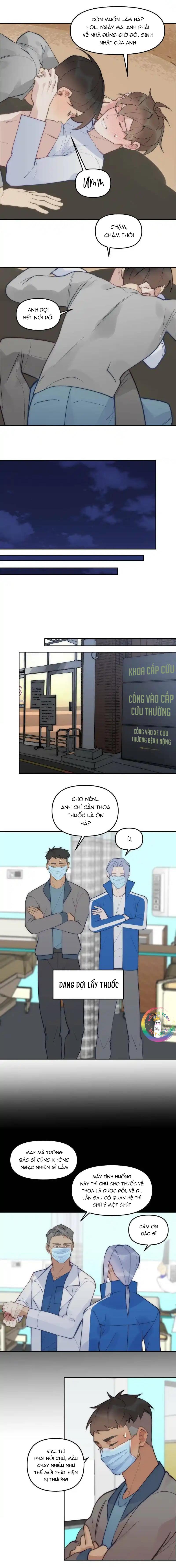 Đọc truyện (END) Đàn Anh Sói Ca Cùng Phòng Của Tôi - Chapter 82