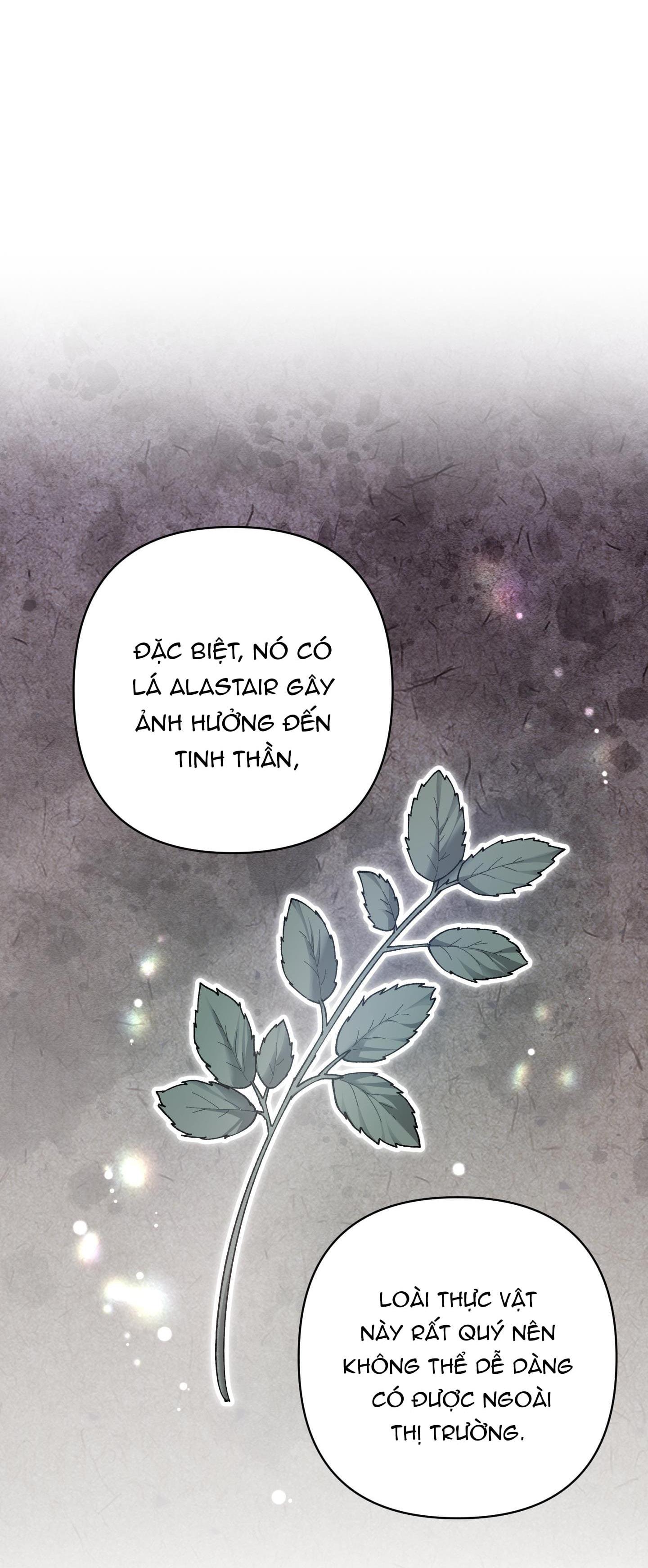 Đọc truyện Đóa hoa của mặt trời - Chapter 74