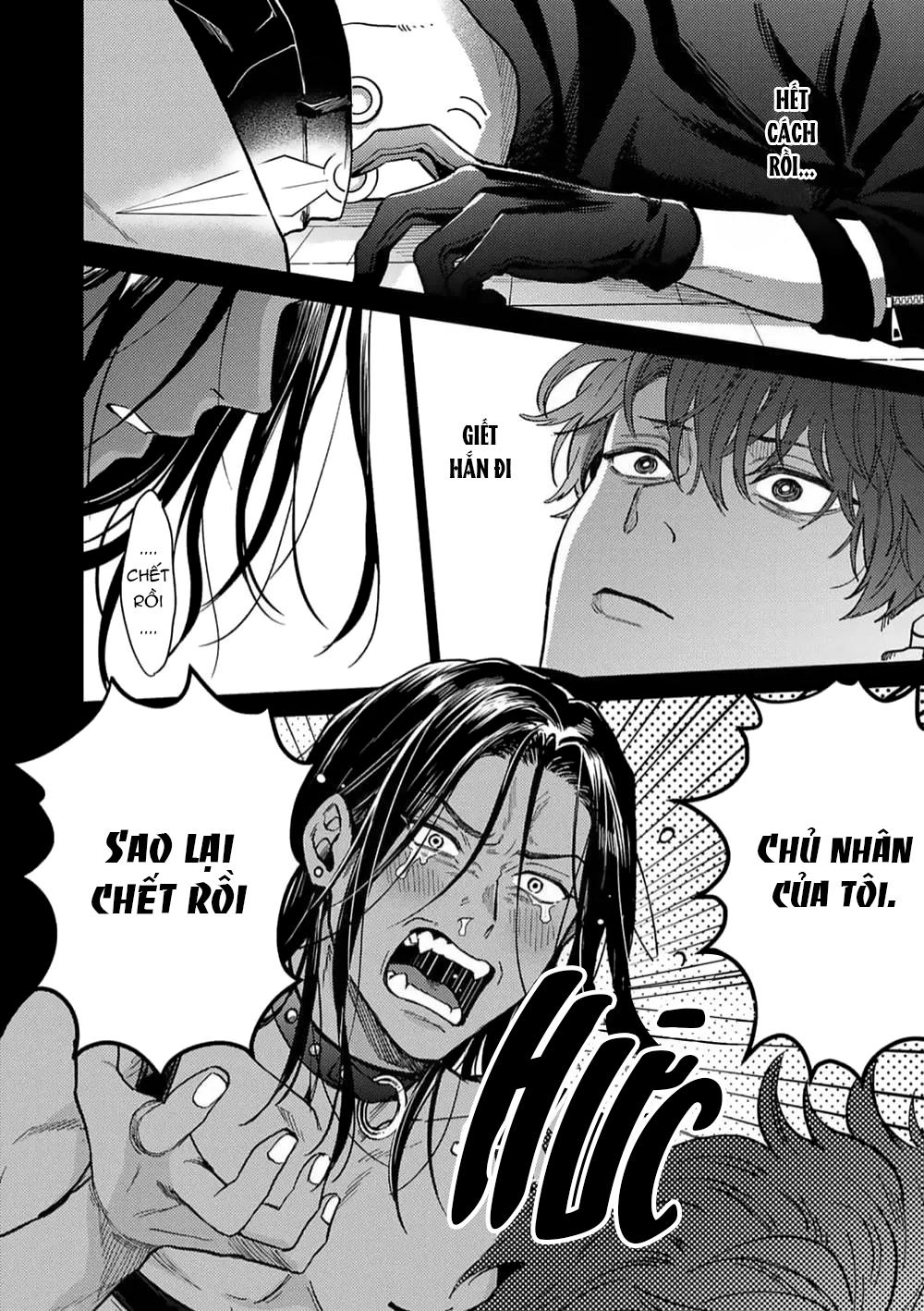 Đọc truyện Risky dogs - Chapter 1