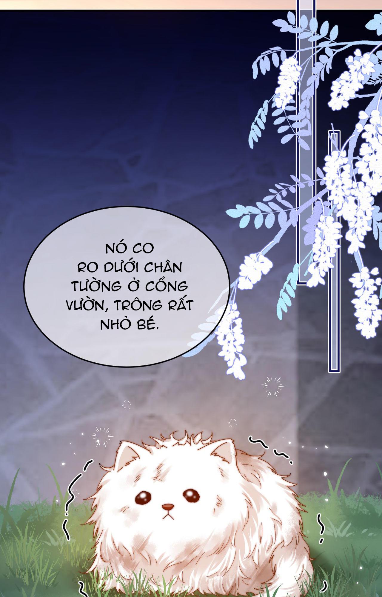 Đọc truyện (Drop) Chất Dị Ứng Cực Cute - Chapter 52