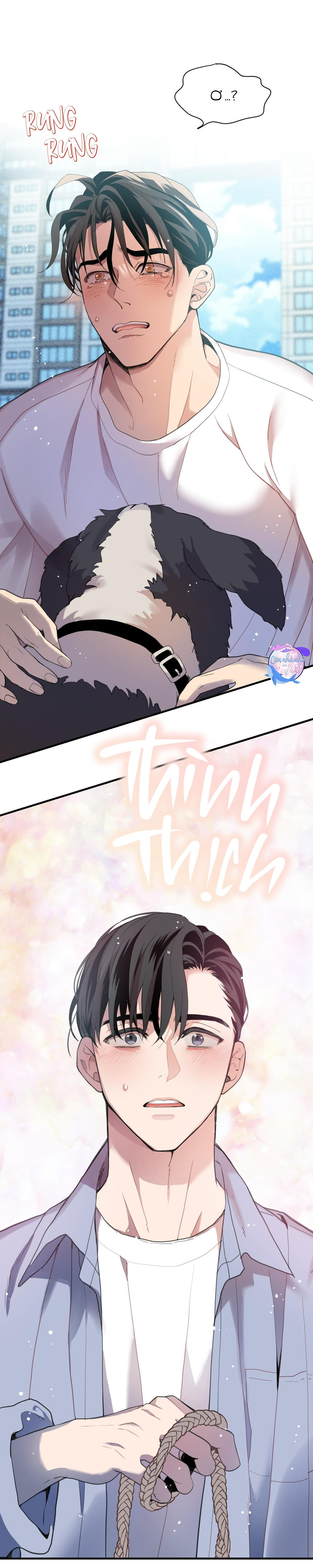 Đọc truyện CHUYỆN TÌNH LÔNG CHÓ (END) - Chapter 7