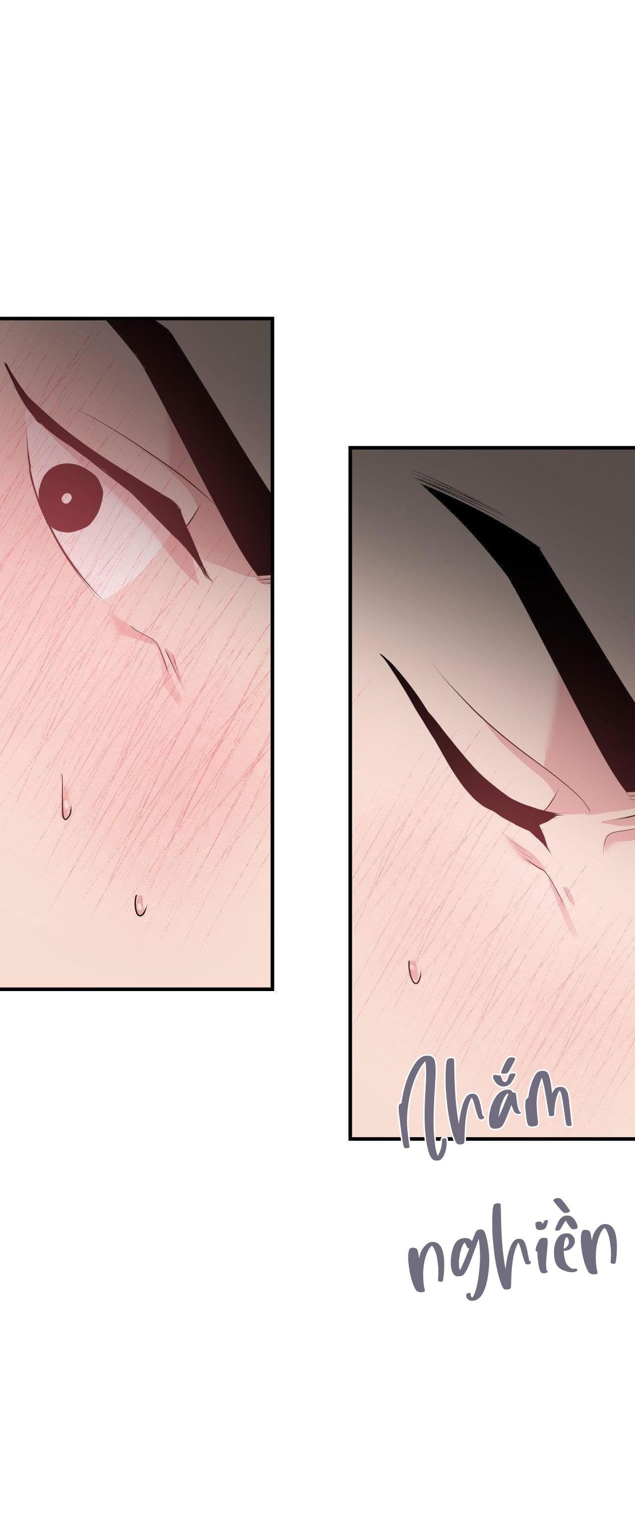 Đọc truyện ĐIỀU 260 BỘ LUẬT HÌNH SỰ - Chapter 2