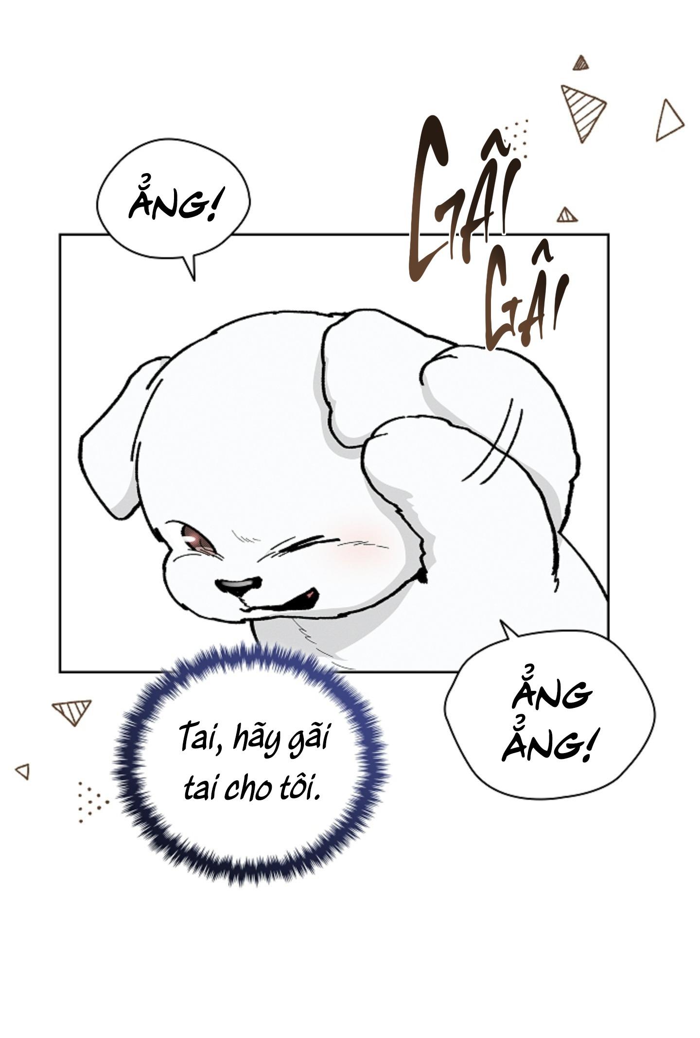 Đọc truyện ĐỪNG ĐỤNG VÀO BÉ CÚN - Chapter 6