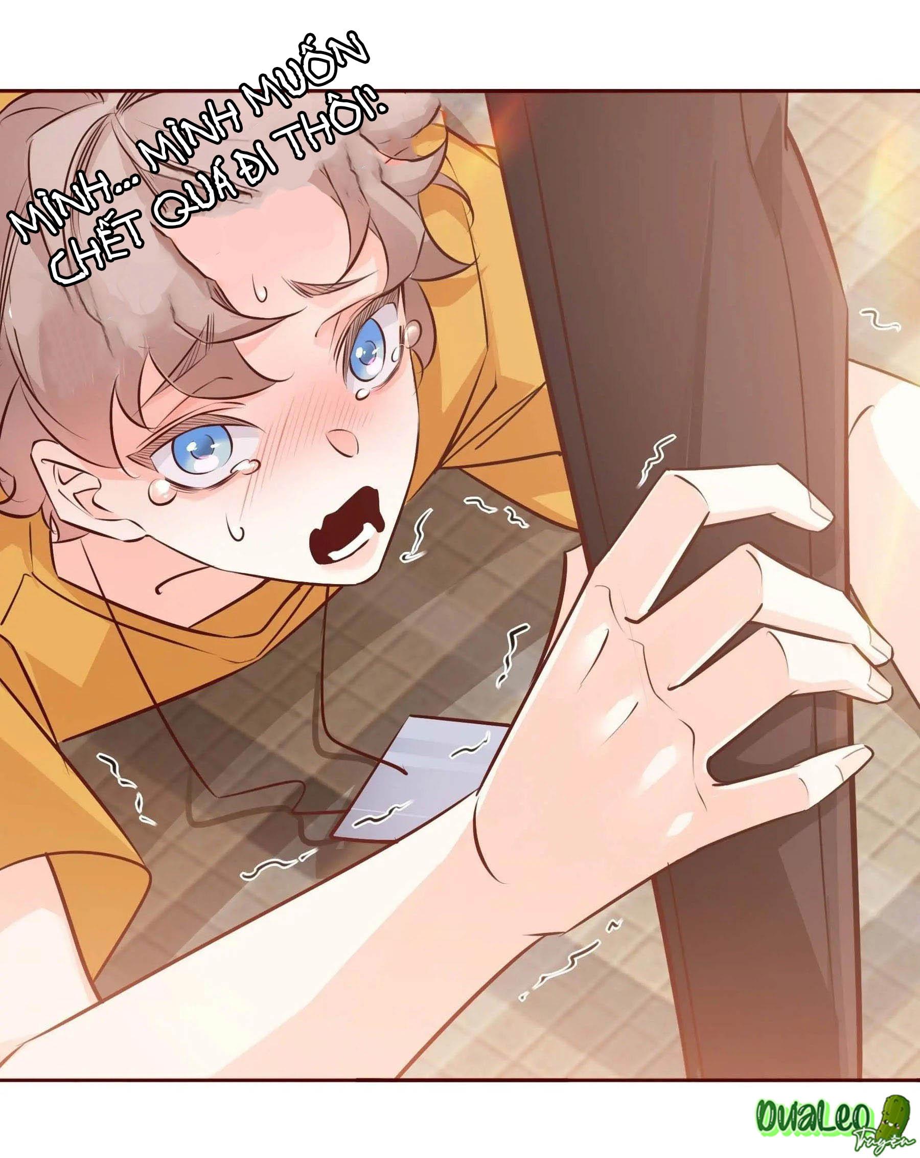 Đọc truyện Yêu Em Bất Chấp - Chapter 5