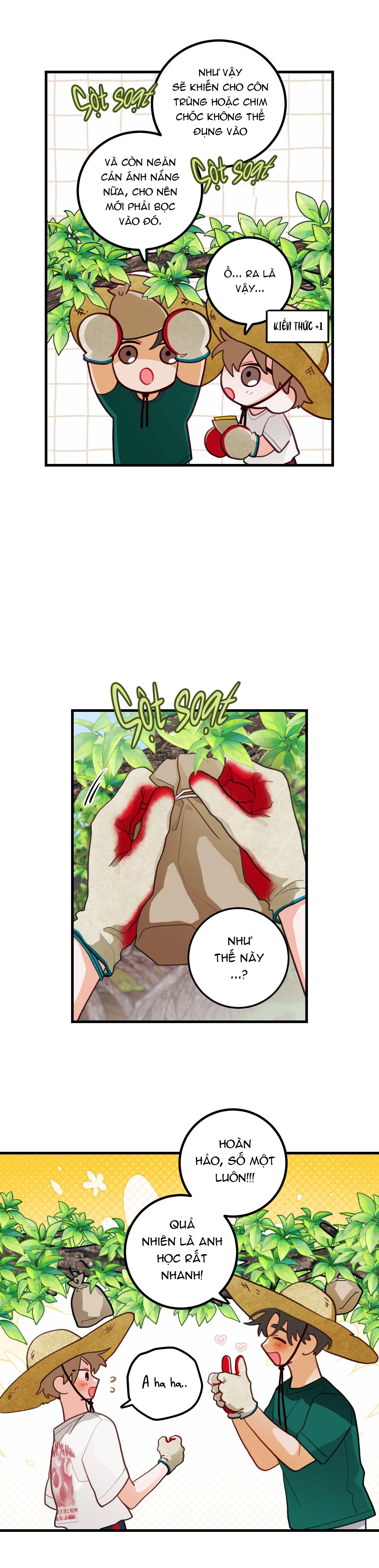 Đọc truyện CHUYỆN TÌNH HOA LÊ NỞ - Chapter 35