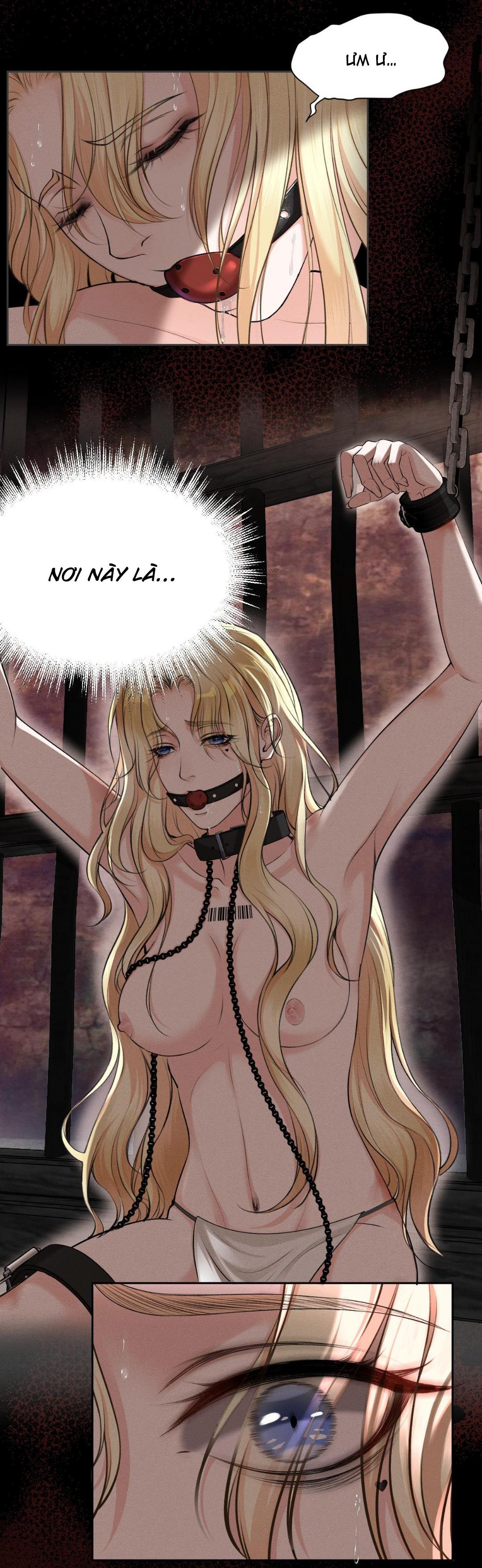 Đọc truyện Lông Vũ Ngược Sáng - Chapter 15