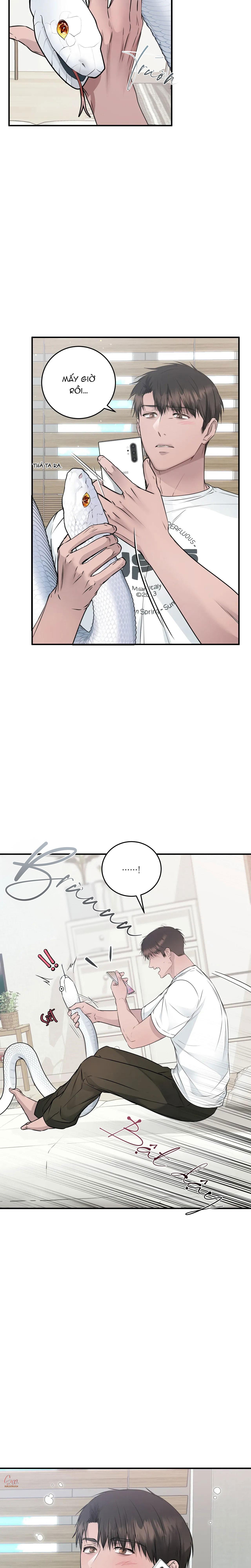 Đọc truyện ÂN NHÂN CỦA RẮN - Chapter 7