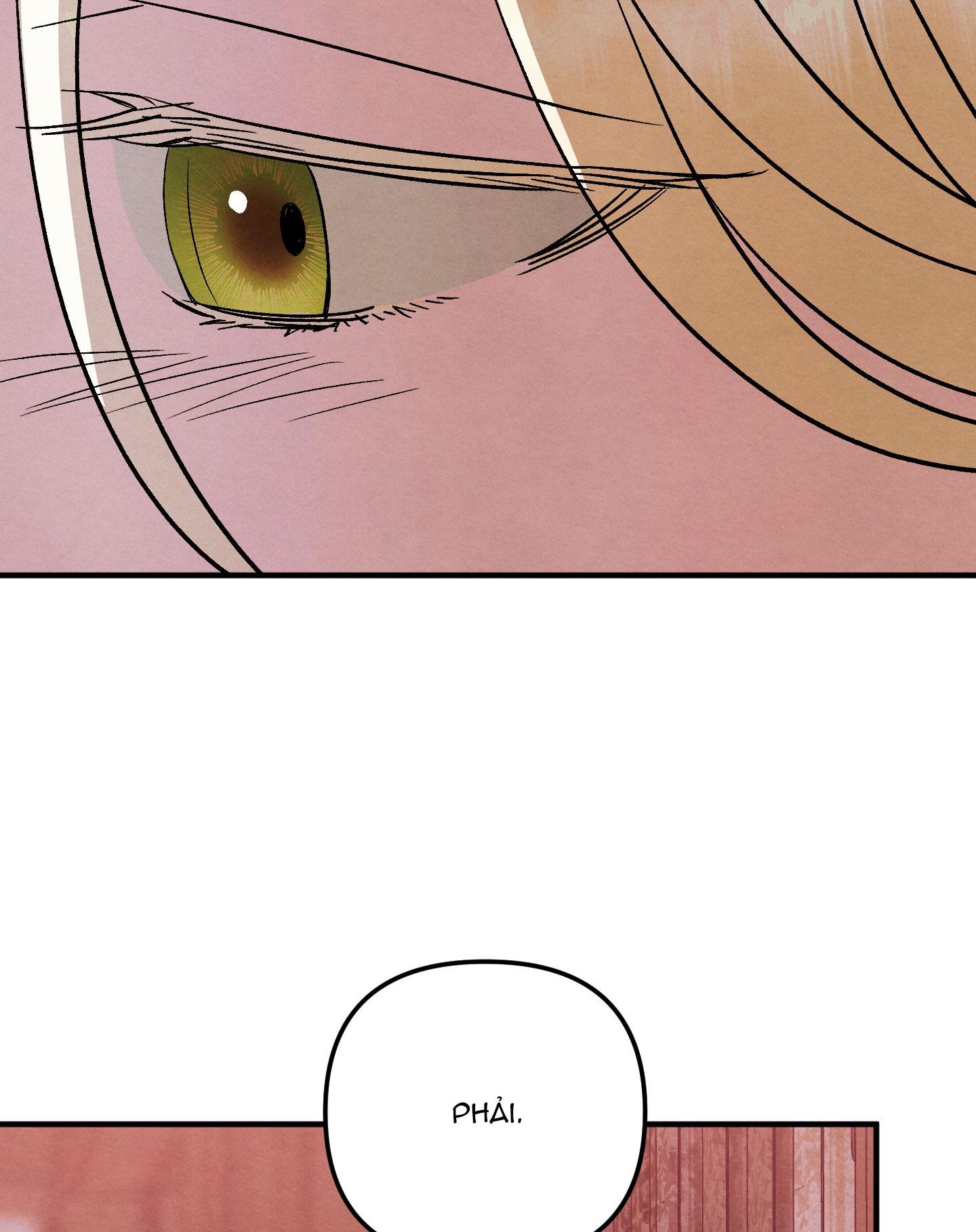 Đọc truyện GỬI VỊ THIẾU GIA TÔI YÊU - Chapter 21